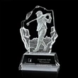 Nomad Male Golfer Award