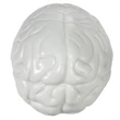 Prime Line Brain Shape Stress Reliever