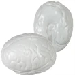 Prime Line Brain Shape Stress Reliever