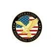 Enduring Freedom Pin - 1