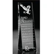 Aviator Award