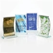 Starfire Fusion Award
