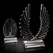 Accolade Award - Optical