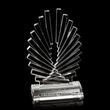 Accolade Award - Optical