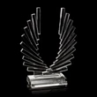Accolade Award - Optical