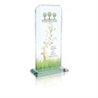 Starfire Echo Award - Large
