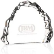 Carved Crystal Award