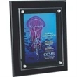 Floating Glass Plaque - 8
