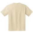 Hanes Beefy-T - 100% Cotton T-Shirt with Pocket.