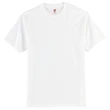 Hanes Authentic 100% Cotton T-Shirt.