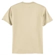 Hanes Authentic 100% Cotton T-Shirt.