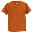 Hanes Authentic 100% Cotton T-Shirt.