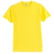 Hanes Authentic 100% Cotton T-Shirt.