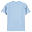 Hanes Authentic 100% Cotton T-Shirt.