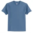 Hanes Authentic 100% Cotton T-Shirt.