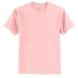 Hanes Authentic 100% Cotton T-Shirt.