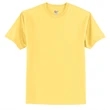 Hanes Authentic 100% Cotton T-Shirt.