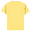 Hanes Authentic 100% Cotton T-Shirt.