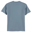 Hanes Authentic 100% Cotton T-Shirt.