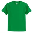 Hanes Authentic 100% Cotton T-Shirt.