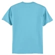 Hanes Authentic 100% Cotton T-Shirt.