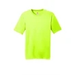 Hanes Cool Dri Performance T-Shirt.