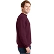 Hanes - EcoSmart Crewneck Sweatshirt.