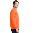 Hanes - EcoSmart Crewneck Sweatshirt.