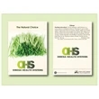 Chives Seeds