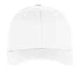 Port Authority Flexfit Cap.