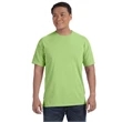Comfort Colors Adult Heavyweight T-Shirt