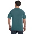 Comfort Colors Adult Heavyweight T-Shirt