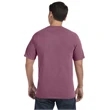 Comfort Colors Adult Heavyweight T-Shirt