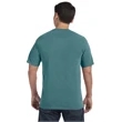 Comfort Colors Adult Heavyweight T-Shirt