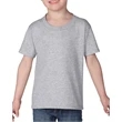 Toddler Heavy Cotton™ T-Shirt