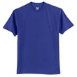 Hanes Authentic 100% Cotton T-Shirt.