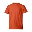 Hanes Ecosmart™ Youth T-Shirt