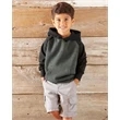 Independent Trading Co. Toddler Special Blend Raglan Hood...