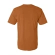 Comfort Colors Garment-Dyed Lightweight T-Shirt