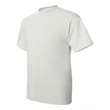 Hanes Ecosmart™ T-Shirt