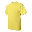 Hanes Ecosmart™ T-Shirt