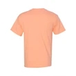 Hanes Authentic T-Shirt