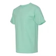 Hanes Authentic T-Shirt