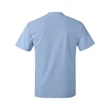 Hanes Authentic T-Shirt