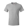 Hanes Authentic T-Shirt