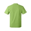 Hanes Authentic T-Shirt