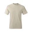 Hanes Authentic T-Shirt