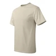 Hanes Authentic T-Shirt