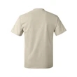 Hanes Authentic T-Shirt