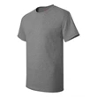 Hanes Authentic T-Shirt